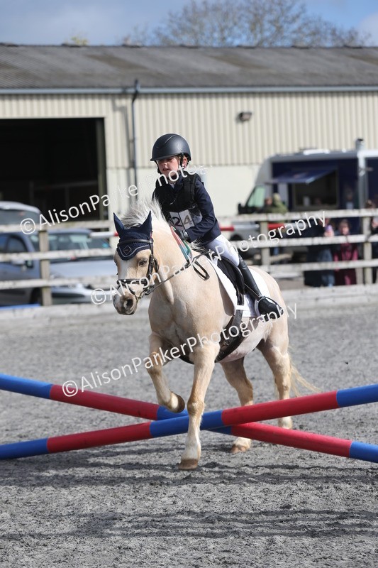 20260412-0101 - Show Jumping