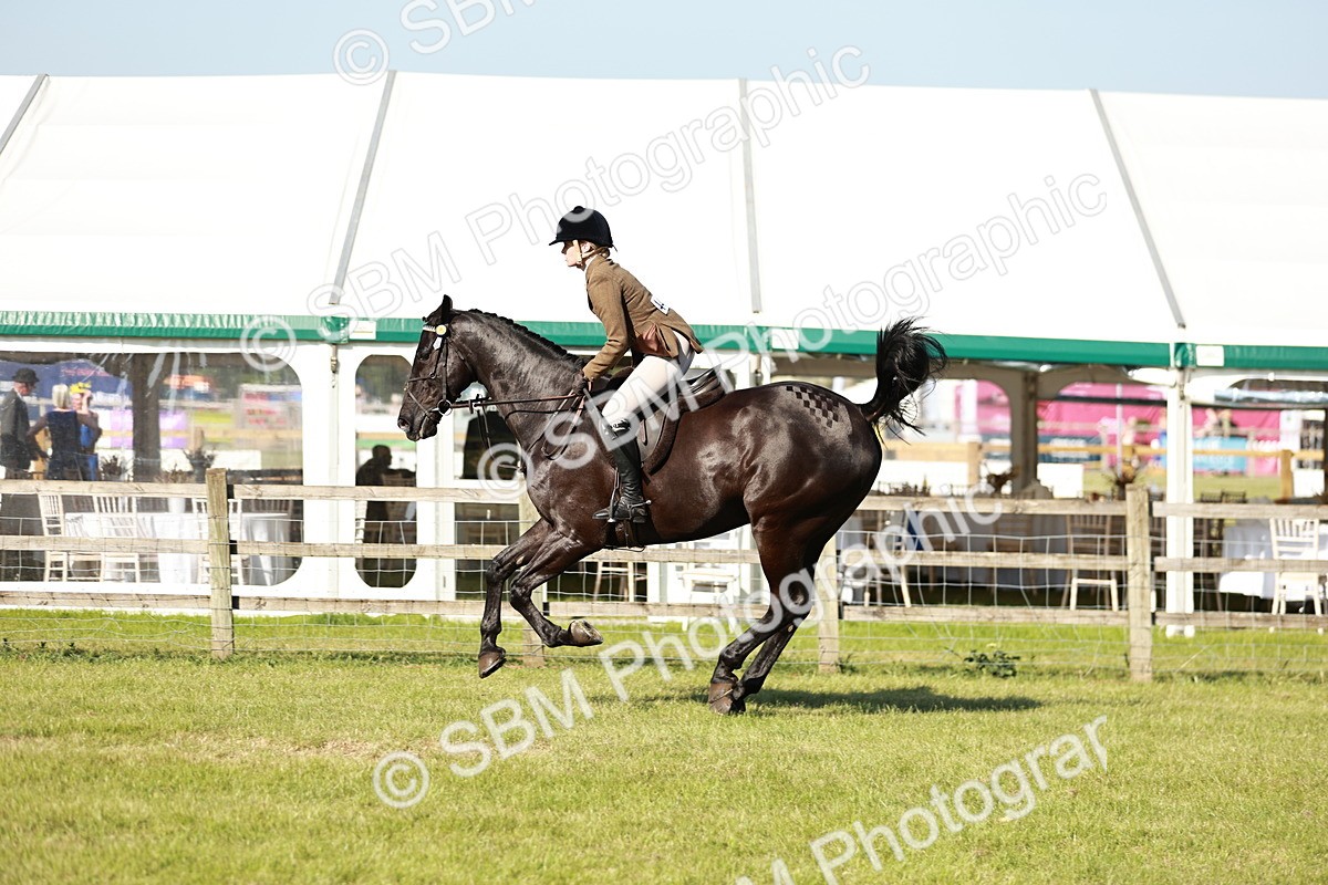 SBM_19257 - Class 115-116 - LIHS BSHA Rising Star Working Hunter & Show Horse