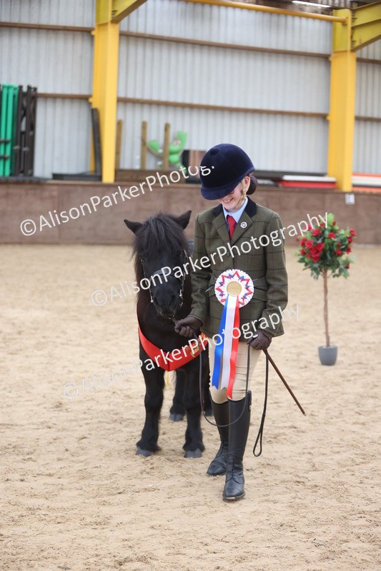 20251109-1199 - Young Handler Championship