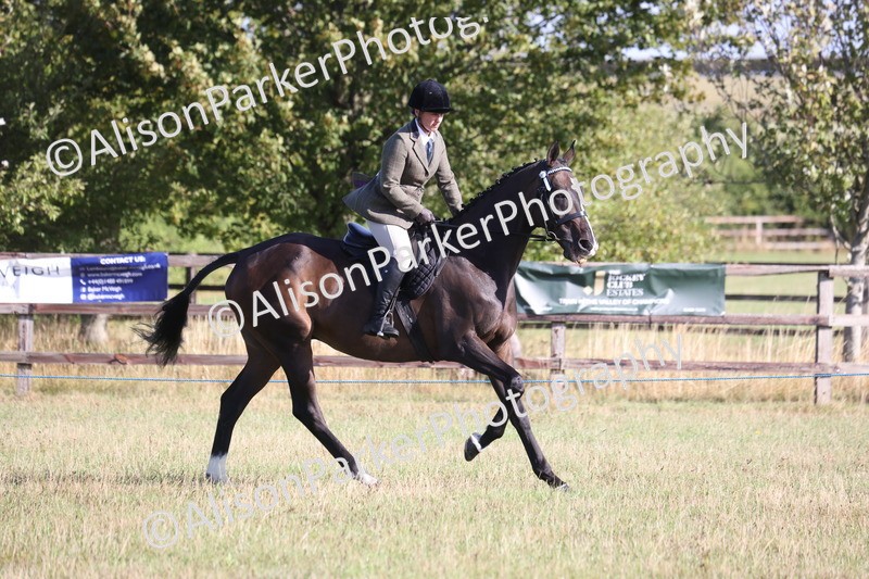 20260906-0361 - Class 14 - Ex Racehorse