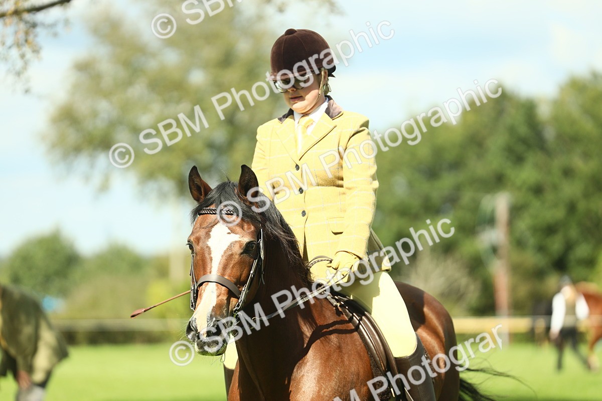SBM_42957 - S30 - M&M Working hunter Pony