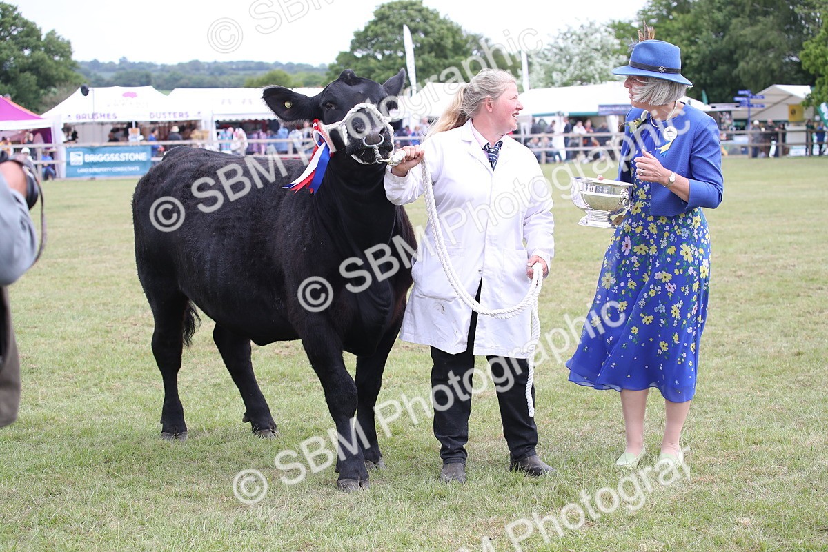 SBM_07943 - Grand Parade