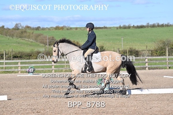 BPP_8788 - LONG ARENA