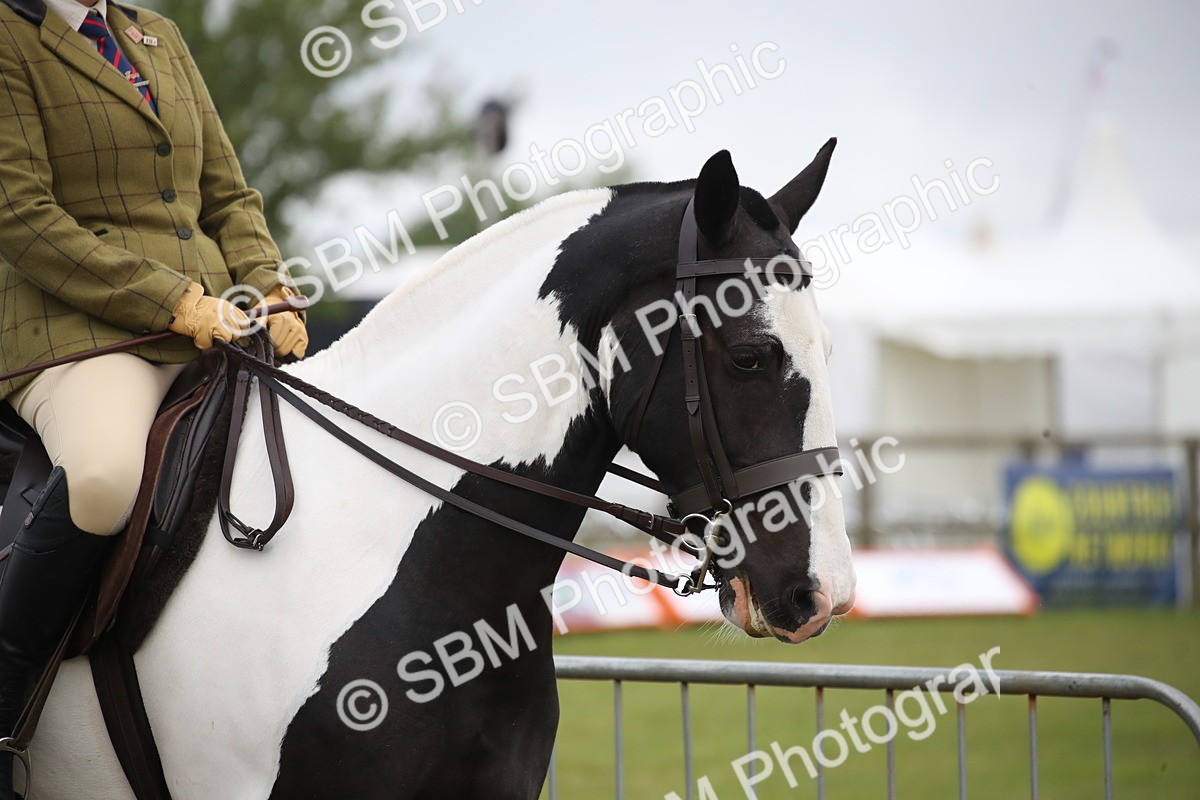 SBM_11019 - Class 92-93 - LIHS BSHA Rising Star Cobs