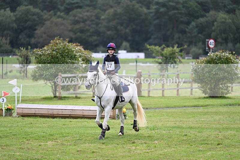 WJ7_8831 - 60cm Time 12:31 to 12:50