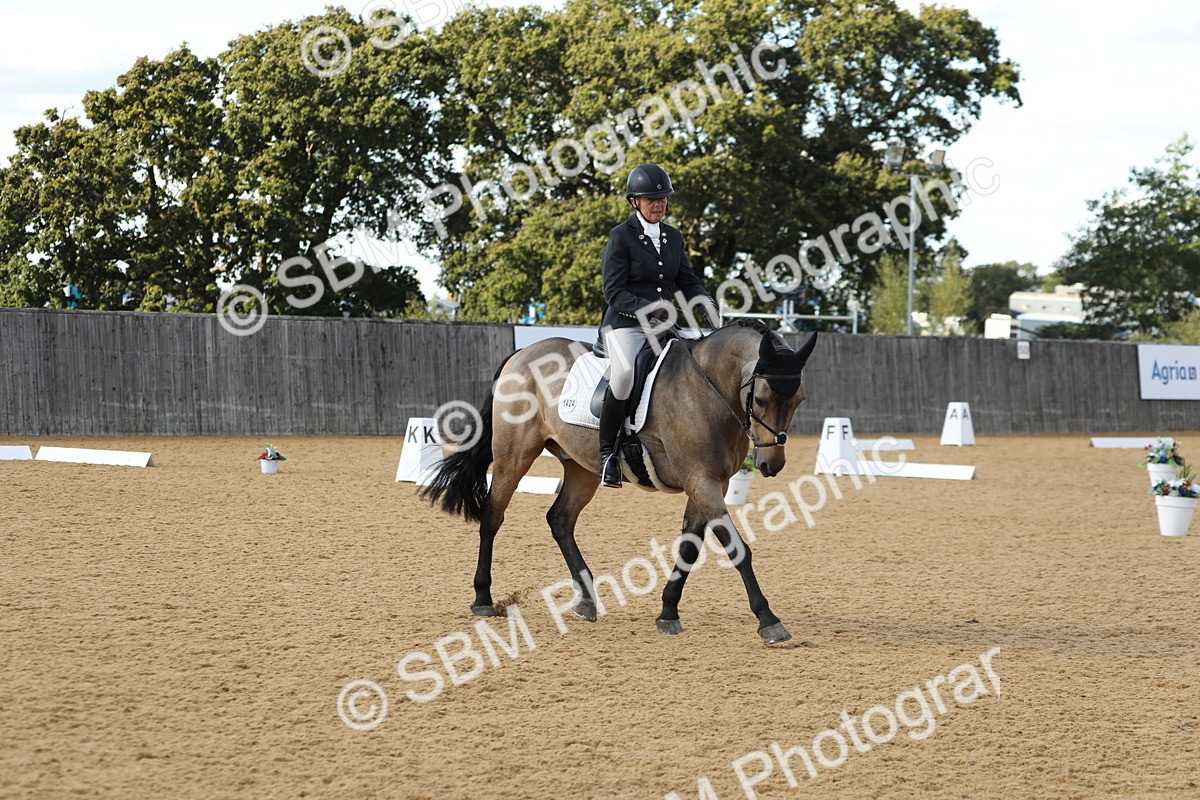 SBM_26586 - D17 - Grand Tour Championship - Novice 27