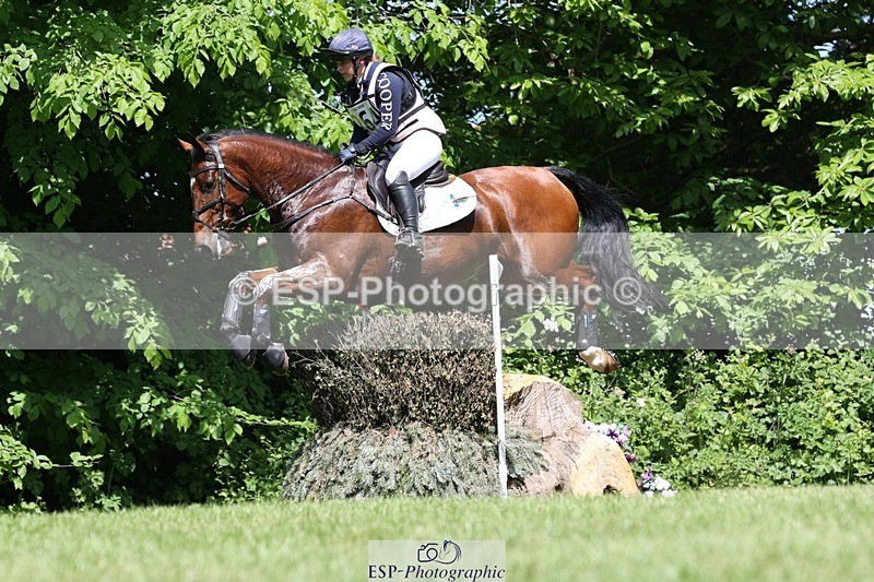 230527-105857-08916 - 264-BALLADEER_JUST_FOR_KICKS-Ellie_Healy-XC