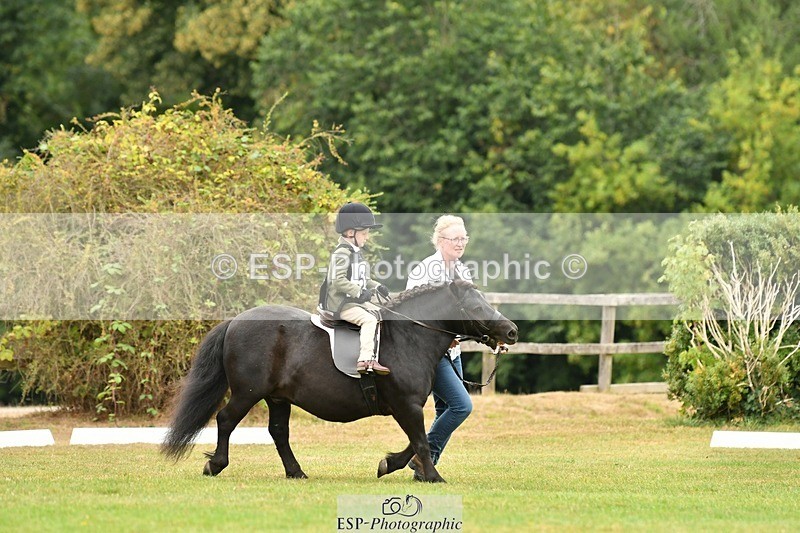 250820A-113331-05138 - 11am to 12