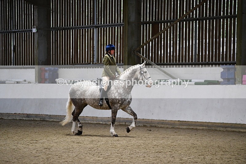 WJ5_8239 - Class 14 Novice Ridden/Rider