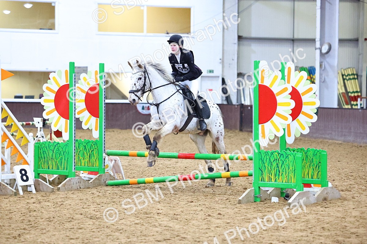 SBM_001314 - Class 3 - Christmas Tree Stakes - 60cm