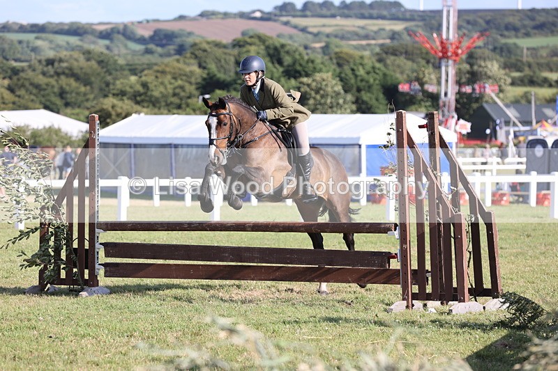 JPP_3150 - Class 21: Working Hunter 80cm