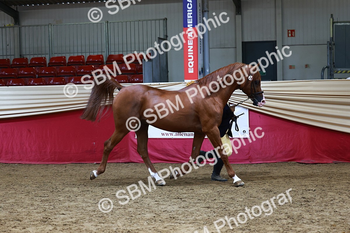 SBM_23021 - Supreme Final - IH  Champ