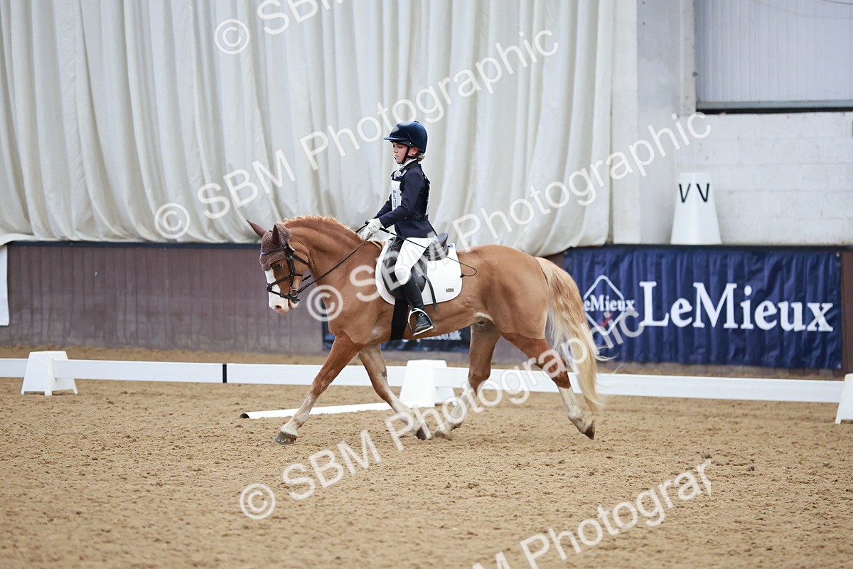 SBM_003973 - Class 2 - Novice 2020