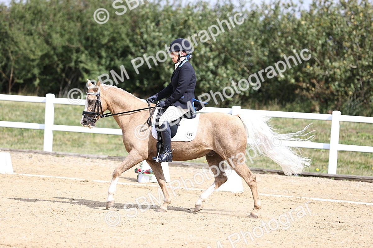 SBM_016188 - Class 14 - Novice 23 - 10.29-11.32