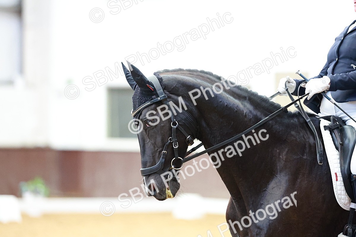 SBM_004006 - Class 1 - M5