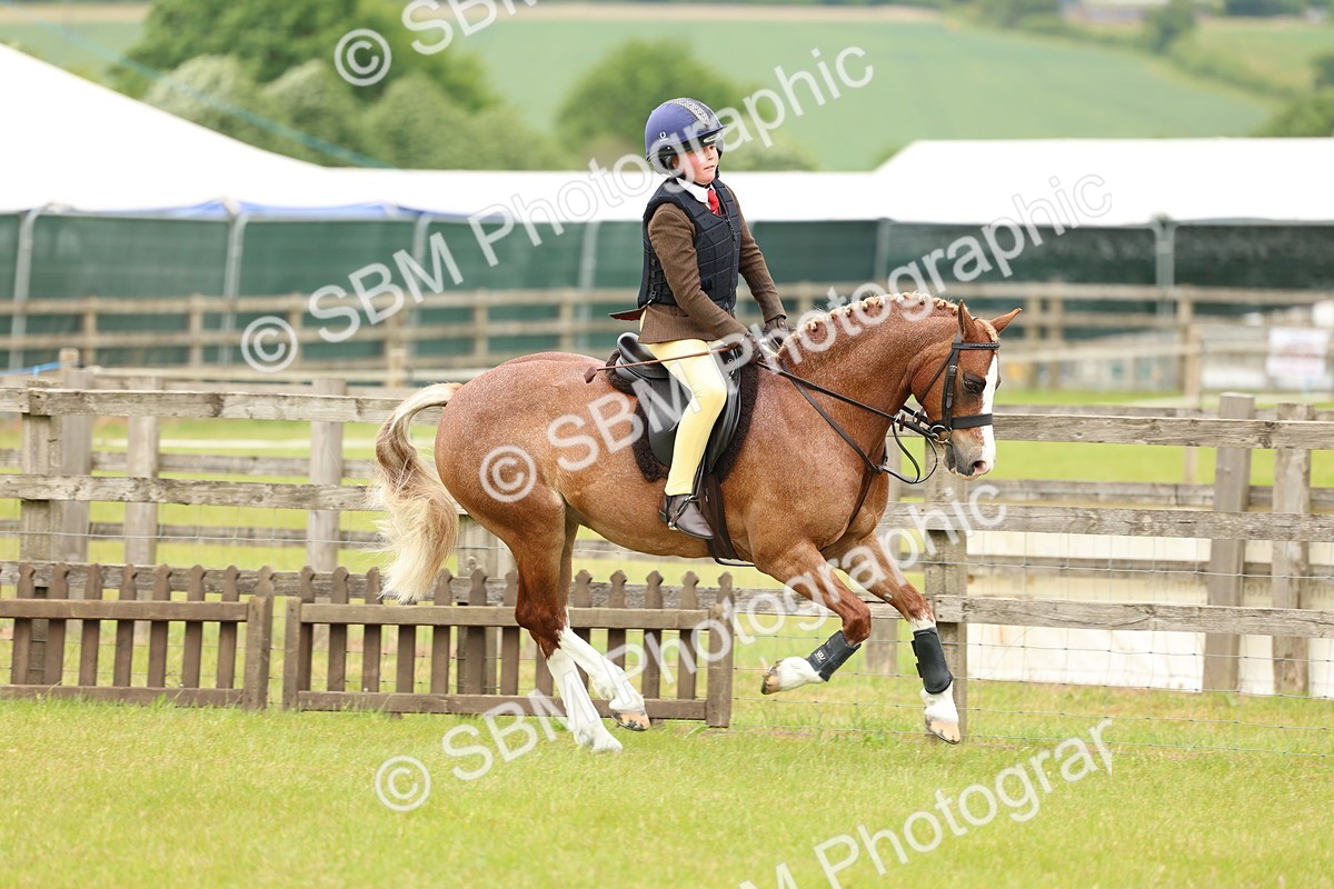 SBM_10281 - Class 44-45 - LIHS BSPS Open Nursery and Cradle Stakes