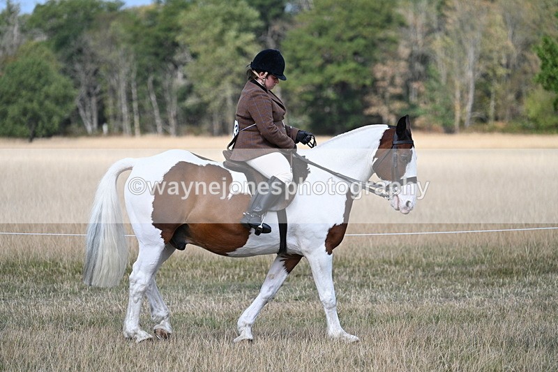 WJ7_6715 - Class 14 Ridden Coloured