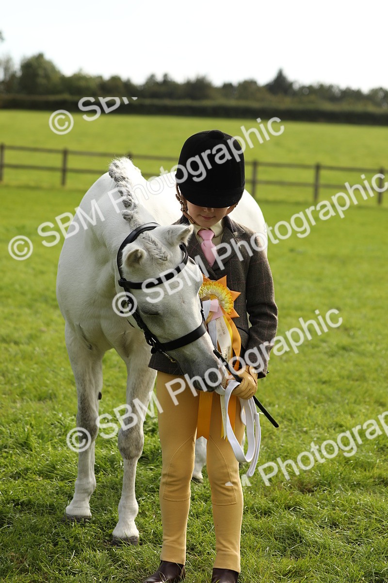 SBM_68743 - S40 - Junior Handler 9-12 Years
