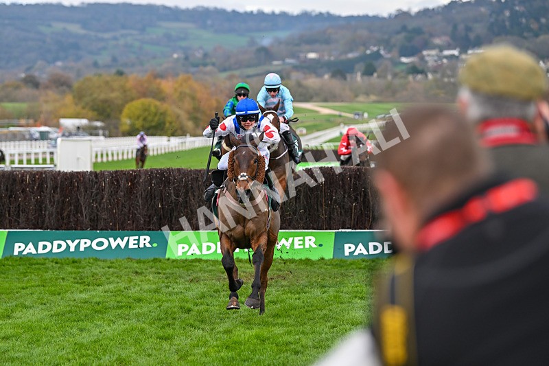 161124-Race 4-Il Ridoto-0440 - Race 4