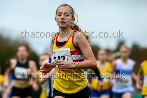 WestRLY25-923431 - Young Female Set One