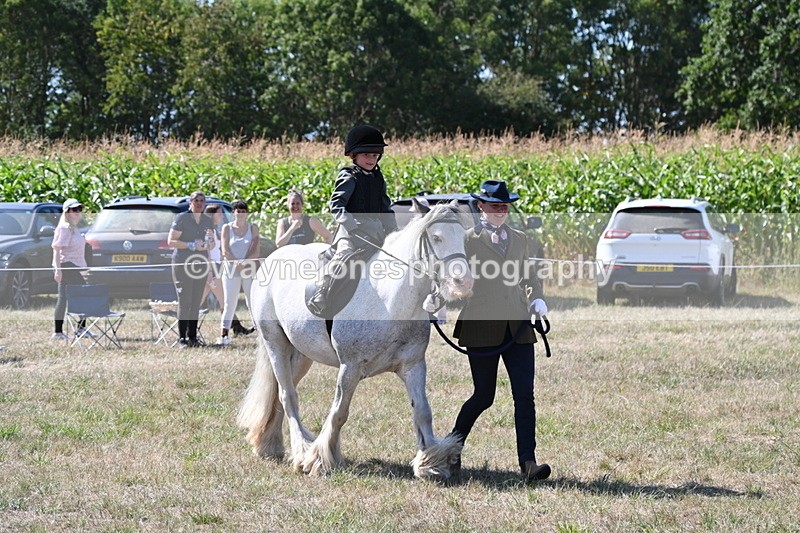 WJ6_7930 - Class 36 Lead Rein