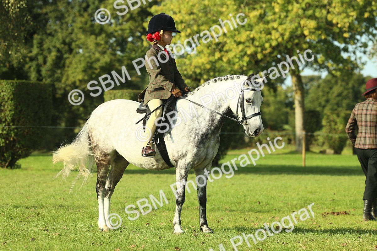 SBM_59208 - S38 - Starters Ridden Showing