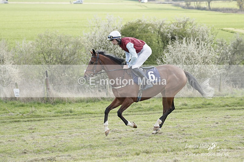 PtP 080423 923 - Dingley Races The Woodland Pytchley Hunt PtP 08/04/23