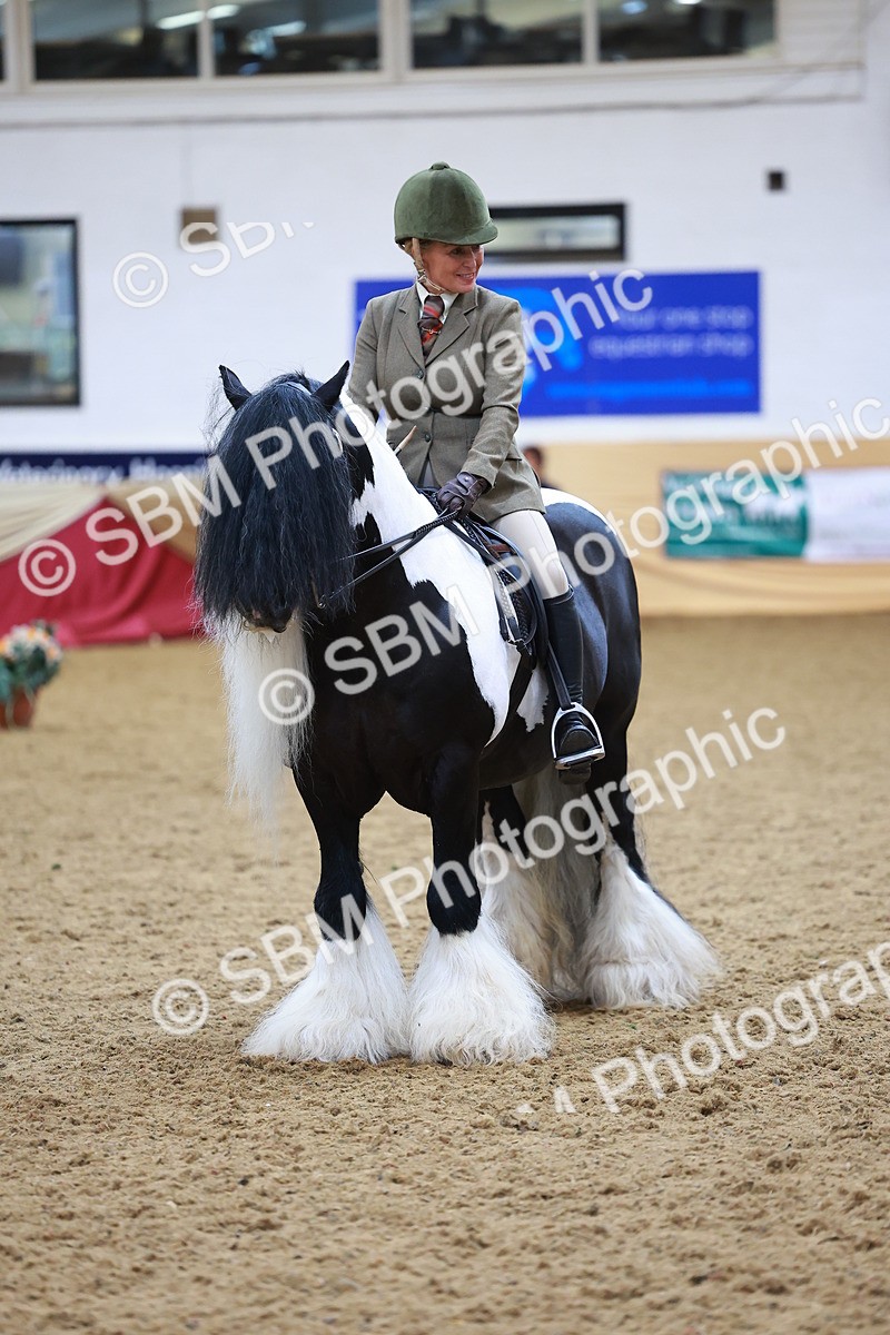 SBM_06260 - Class 12R - Ridden Pre-Vet