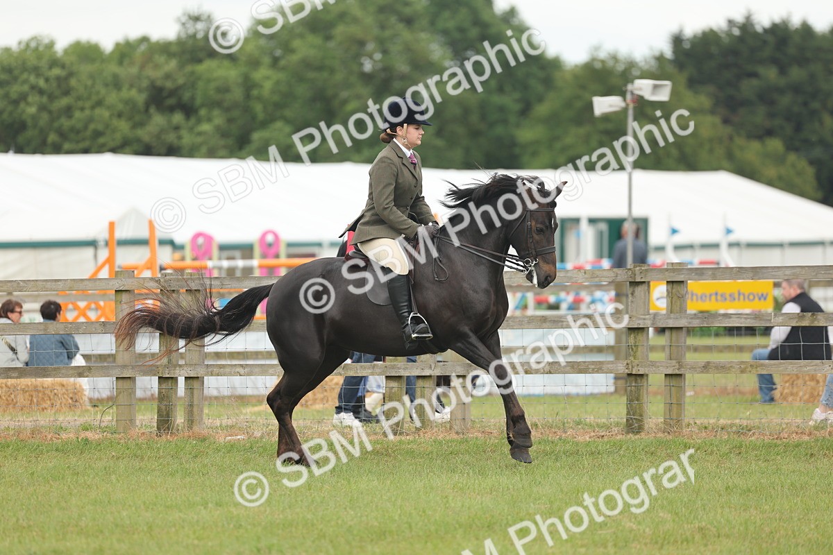 SBM_09075 - Class 78-80 - Ridden M&M Non Welsh Ponies