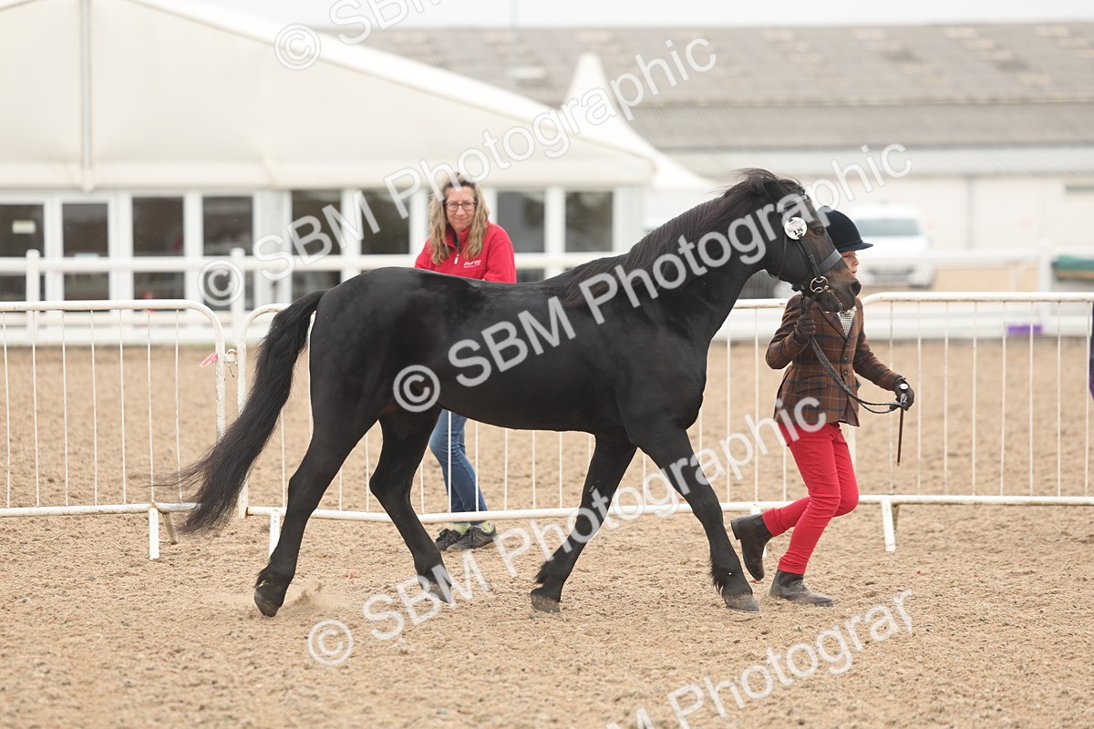 SBM_00495 - Class 13 Young Handler