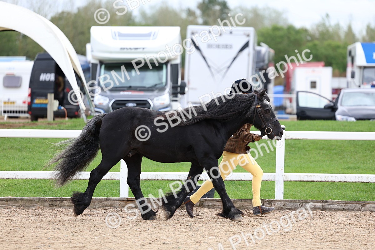 SBM_05865 - Class 29 - IH Veteran Pony