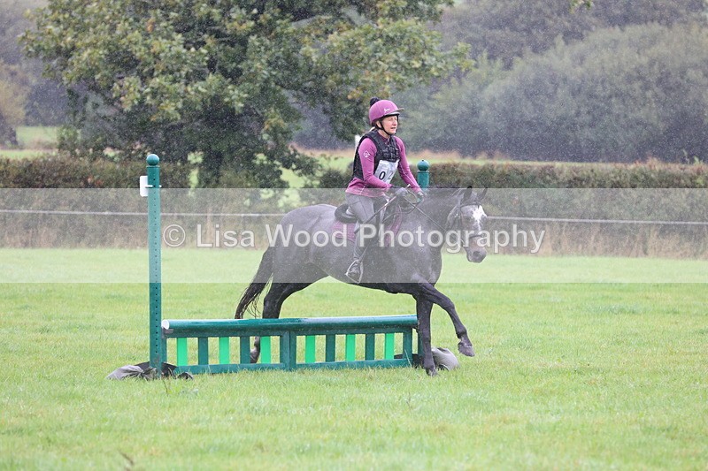 JPP_5111 - Class 1: 65cm : Showjumping