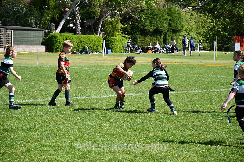  - Selby Rugby Festival 2025
