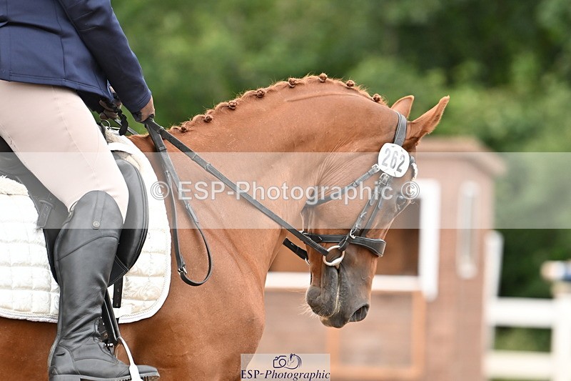 240817A-144050-09519 - 262-Sarah.Parkhouse-Royal.Minx