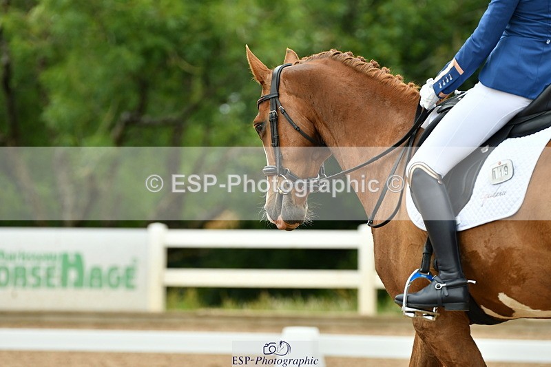 230630A-105730-00614 - Cls 9+12 Music Elementary + Medium