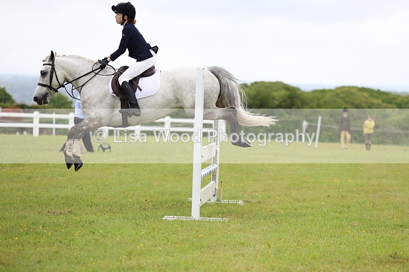 3E7A6616 - Class 9: Pony Discovery/90cm open