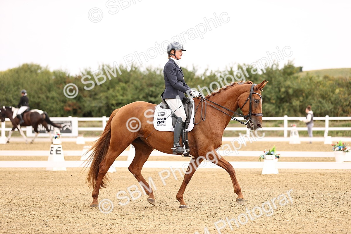 SBM_011659 - Class 1 - Medium 5