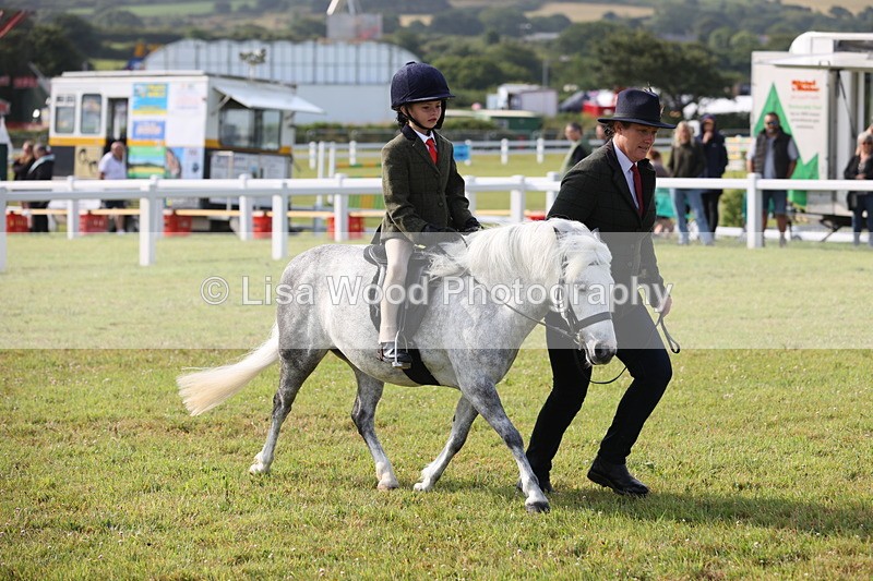 JPP_0428 - Class 14: Cornish Combination Leading Rein