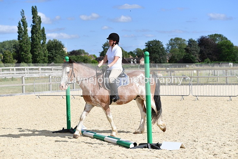 WJ5_5538 - Poles on the Floor