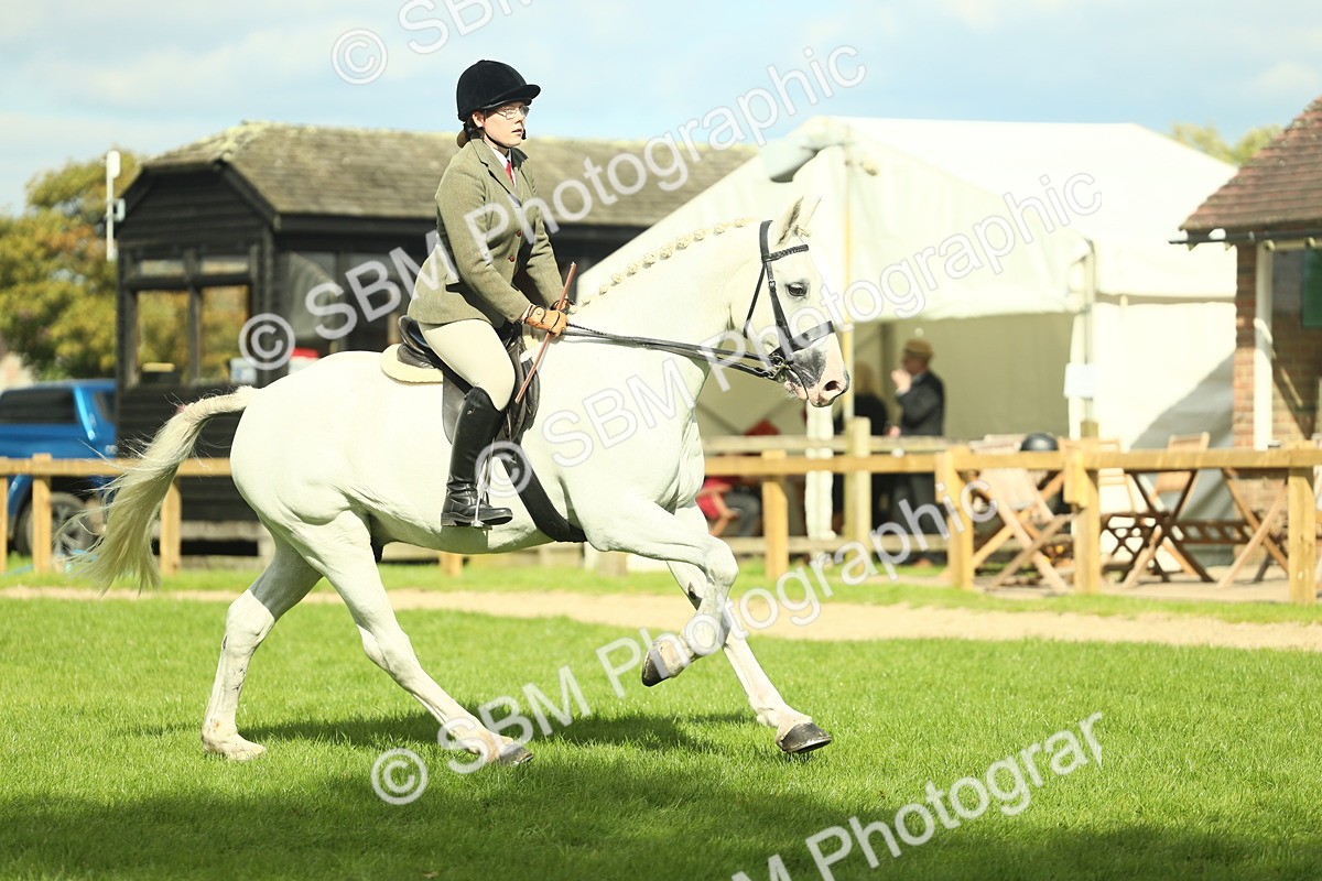 SBM_47931 - S32 - Novice & Newcomers Working Hunter