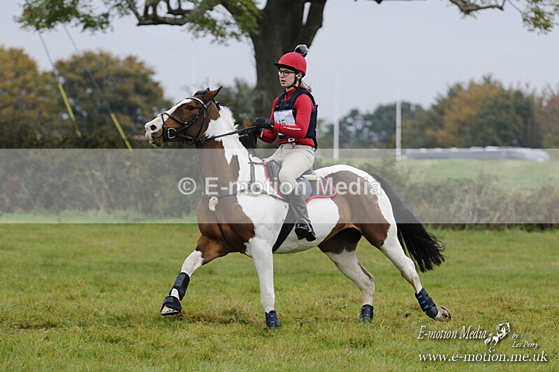 WWHT 181020 WWHT 181020 615 - WWEC Open Novice (0.80m) 18/10/20