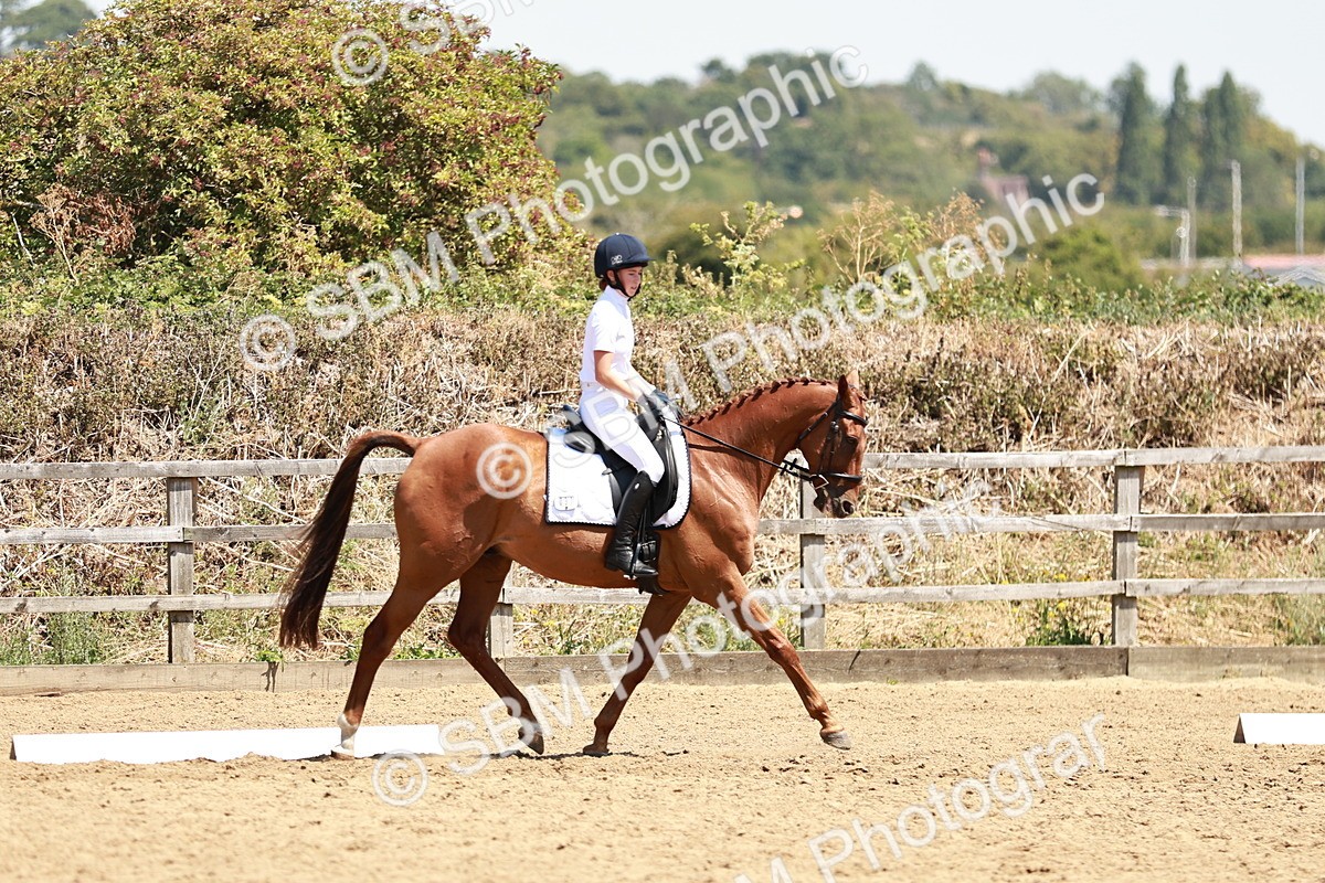 SBM_002919