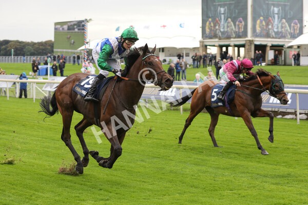 yr07102022r2-27 - Race 2 2.40pm William Hill Autumn Mile