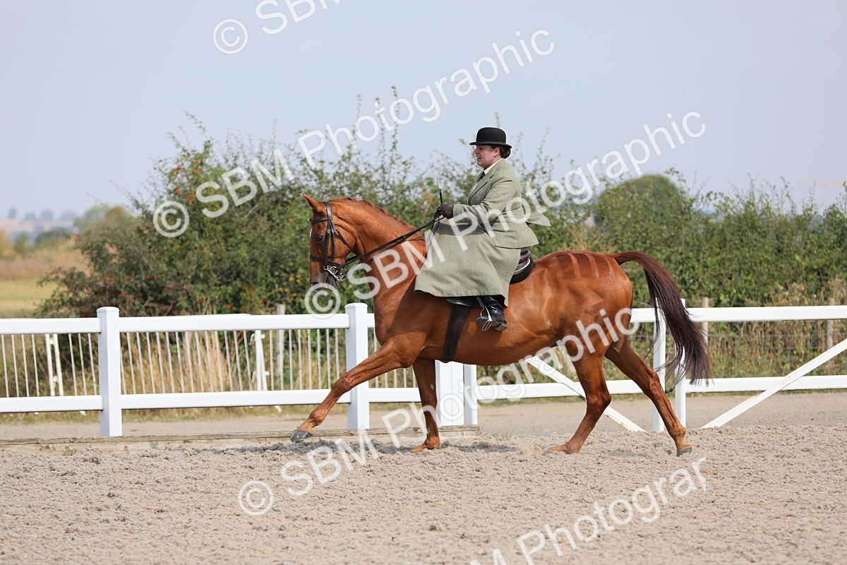SBM_14558 - Class 211 Best Side Saddle Horse/Pony
