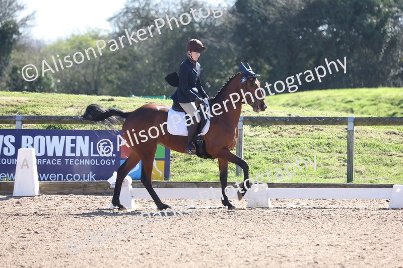 20260318-0501 - Class 5 - Novice 2