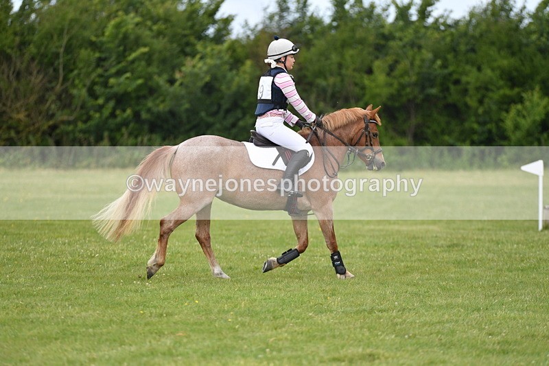 WJ5_2487 - Class 2 40cm