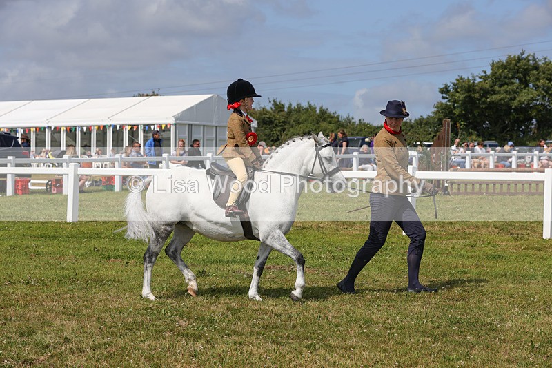 1X9A3841 - Plaited Mini Ridden Championship