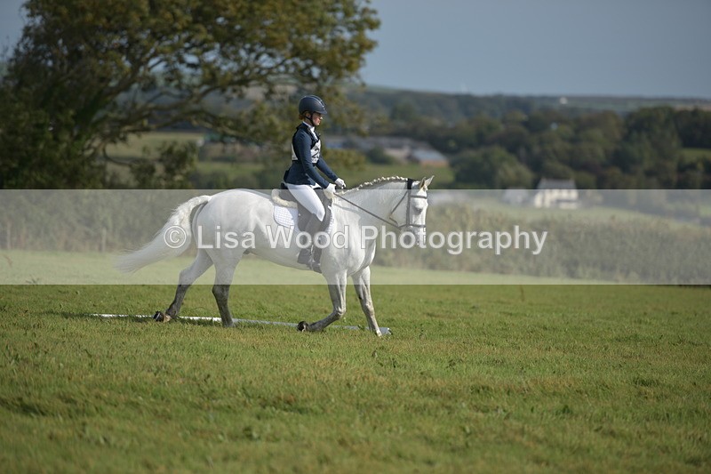 RAY_7660 - Class 2B: Trekenning Open: Dressage