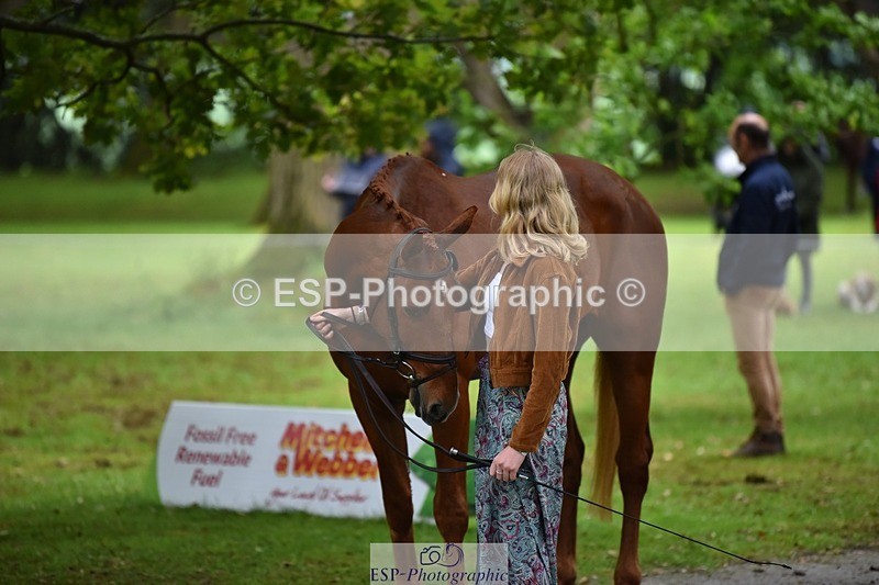 240522-163422-01010 - 212-RIVERSTOWN_ROYAL-Georgie_Frow
