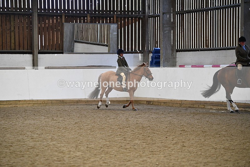 WJ5_6025 - Class 9 Ridden Veteran